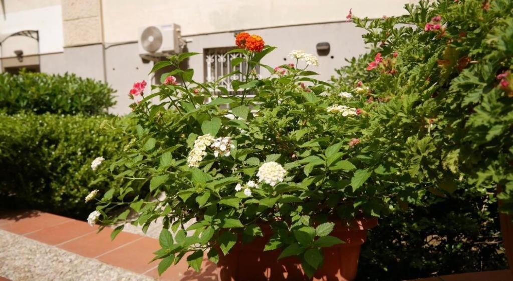 House With Garden And Parking Space In Mergellina Naples Extérieur photo
